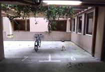 hirdetés 4. fotó
