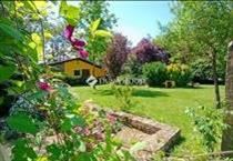 hirdetés 7. fotó