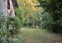 hirdetés 6. fotó