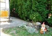 hirdetés 5. fotó