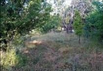 hirdetés 7. fotó