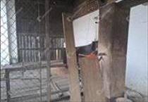 hirdetés 2. fotó