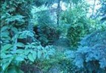 hirdetés 3. fotó