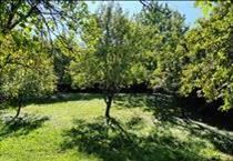 hirdetés 5. fotó