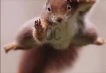 hirdetés 5. fotó