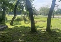 hirdetés 2. fotó