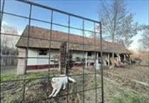 hirdetés 5. fotó