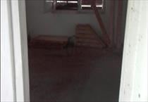 hirdetés 4. fotó
