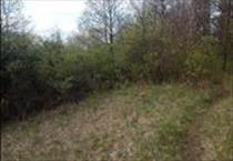 hirdetés 6. fotó