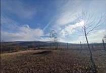 hirdetés 2. fotó