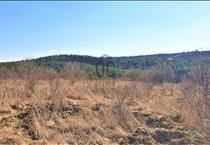 hirdetés 3. fotó