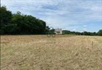 hirdetés 2. fotó