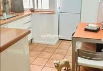 hirdetés 7. fotó