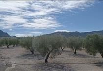 hirdetés 6. fotó