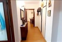 hirdetés 5. fotó