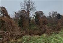 hirdetés 2. fotó