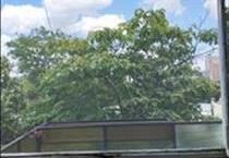 hirdetés 5. fotó