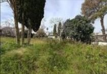 hirdetés 5. fotó