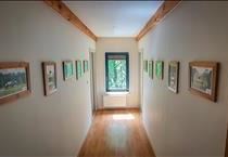 hirdetés 7. fotó