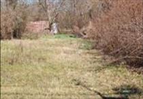 hirdetés 4. fotó