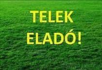 hirdetés 2. fotó