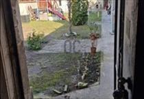 hirdetés 6. fotó