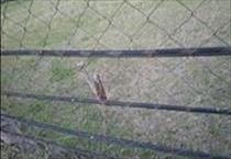hirdetés 6. fotó