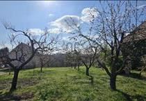 hirdetés 2. fotó