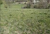 hirdetés 5. fotó