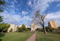 hirdetés 2. fotó
