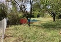 hirdetés 3. fotó