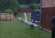hirdetés 2. fotó