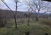 hirdetés 4. fotó