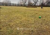 hirdetés 2. fotó