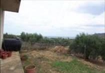 hirdetés 2. fotó
