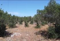 hirdetés 3. fotó