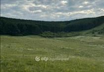 hirdetés 2. fotó