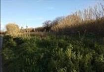 hirdetés 3. fotó