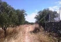hirdetés 5. fotó