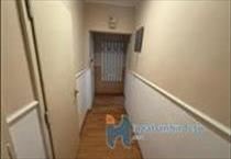 hirdetés 5. fotó