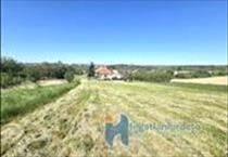 hirdetés 3. fotó