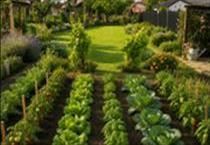 hirdetés 6. fotó