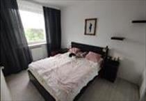 hirdetés 3. fotó