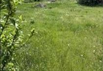 hirdetés 5. fotó