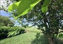hirdetés 6. fotó