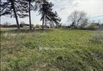 hirdetés 6. fotó