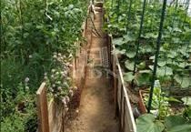 hirdetés 6. fotó
