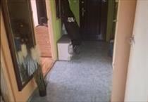 hirdetés 2. fotó