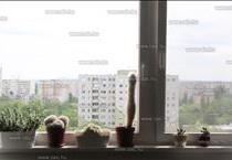 hirdetés 4. fotó