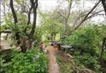 hirdetés 4. fotó